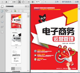 《電子商務(wù)企業(yè)運(yùn)營(yíng)管理培訓(xùn)與服務(wù) 216頁(yè)精要指南》