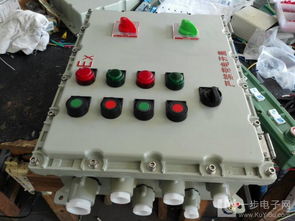 BXMD58 2K防爆照明配電箱詳解 專業(yè)廠家定制2路帶總開關(guān)方案與高清大圖鑒賞